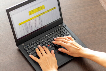 Shot of a woman working on the laptop showing an excel sheet on the screen with bank loan...
