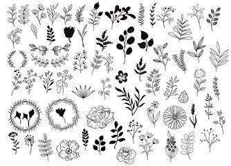 Meadow flowers, tree branches, algae water plants, corals isolated on white. Seaweeds polyps silhouettes set. Cut file cricut. Seaweeds coral reef underwater plans vector collection. © Nadezhda