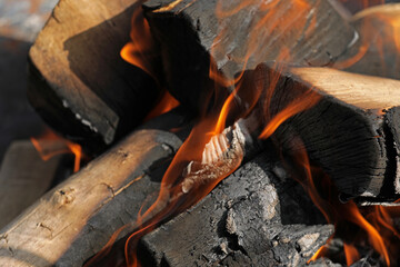 Fire campfire wood fire embers