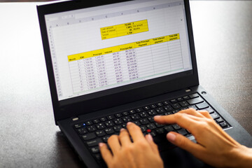 Shot of a woman working on the laptop showing an excel sheet on the screen with bank loan...