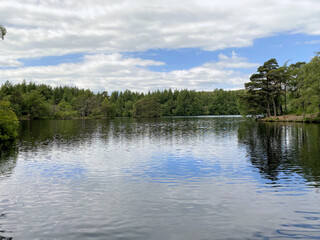 A view of the Lake District at High Dam Tarn near Windermere
