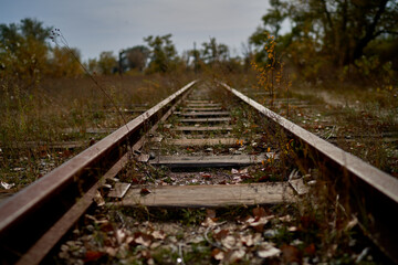 the old railway is overgrown with grass