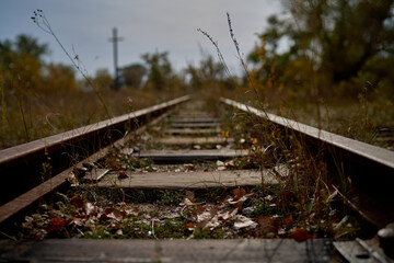 the old railway is overgrown with grass