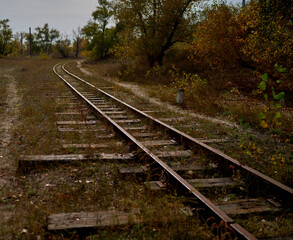 the old railway is overgrown with grass