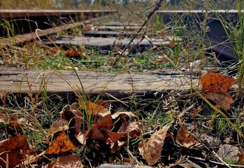 the old railway is overgrown with grass