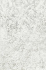 white background