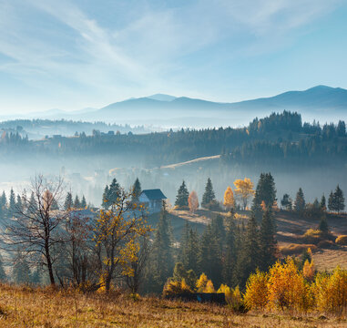 First  sunrise rays of sun and shadows through fog and trees on slopes. Morning autumn Carpathian Mountains landscape (Yablunytsia village and pass, Ivano-Frankivsk oblast, Ukraine).