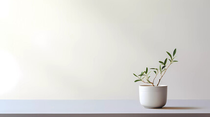 A plant is growing out of a white bowl on a table top with a white wall in the background