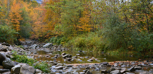 Creek in the fall