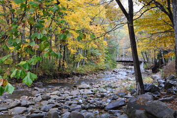 North Carolina Creek in the fall
