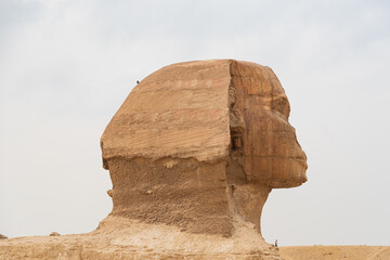 The Sphinx at Giza, Egypt: An ancient guardian, a symbol of Pharaonic legacy, standing majestically on the Giza Plateau