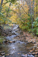 Fall in the North Carolina mountains