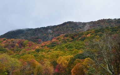 Leaves changing in the mountains