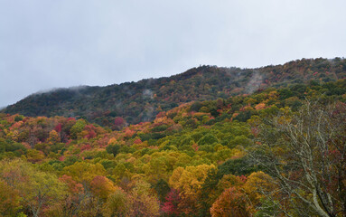 Fall in the Carolina