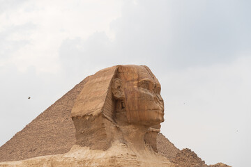 Fototapeta na wymiar The Sphinx at Giza, Egypt: An ancient guardian, a symbol of Pharaonic legacy, standing majestically on the Giza Plateau