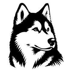 Siberian husky dog vector silhouette © Big Dream
