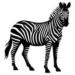 Fototapeta na wymiar Zebra animal vector silhouette