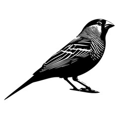 Zebra Finch bird vector silhouette