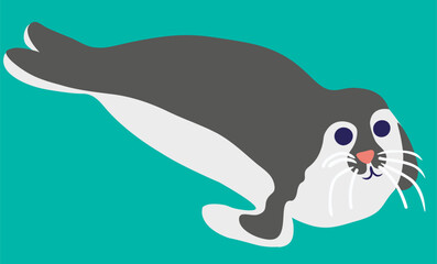 fur seal in vector. wild animal in flat style. Template for poster logo icon for app website. Series of animal images in flat style