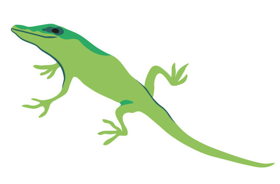 green lizard in vector. wild animal in flat style. Template for poster logo icon for app website. Series of animal images in flat style