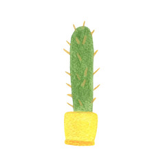 Watercolor illustration of an indoor plant. Cactus in yellow pot. Decorative garden flowers for office and home decor, Isolated illustration on white background.