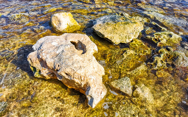 Stones rocks corals turquoise green blue water on beach Mexico.
