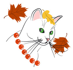 White cat and autumn leaves
