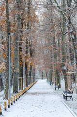 Santoska Park in Prague, the Czech Republic, covered in snow in the winter