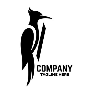 Creative and modern bird woodpecker logo