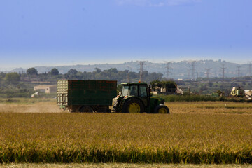 Fototapeta premium Truck tractor by wheat field in Spain