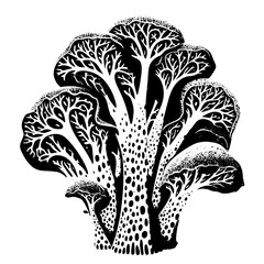 Mushroom forest morel truffle chanterelle toadstool Fly agaric White Mushroom Aspen 