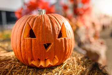 Halloween: Pumpkin with a carved face in the foreground, adorned with sun rays and hay, with red autumn leaves creating a bokeh effect in the background