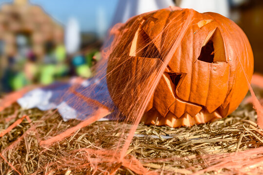 Spooky Halloween pumpkin with carved face, adorned with orange cobweb, lying on ha