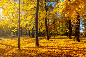 Catherine park in autumn foliage, Pushkin (Tsarskoe Selo), St. Petersburg, Russia