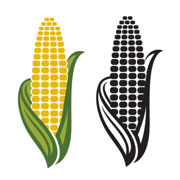 corn cob icons isolated on white background
