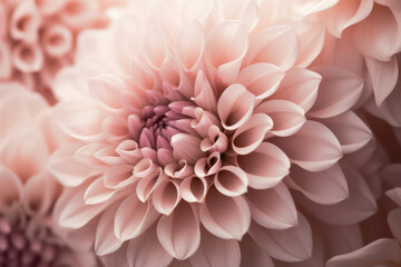 A detailed close-up of a blooming flower, showcasing its intricate petals and delicate beauty in vivid detail