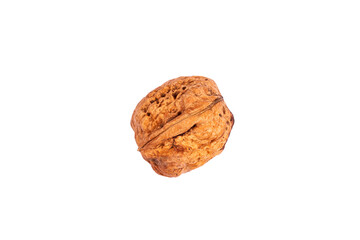 One Big Walnut isolated on white background.
