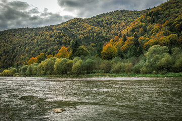 Autumn landscape. Green, orange and red trees. Autumn Carpathian mountains. Hill covered with...