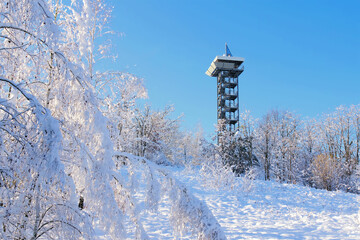 ein Aussichtsturm Hörlitz in verschneiter Winterlandschaft in der Lausitz, Deutschland - an observation tower in a snow-covered winter landscape in Germany - 665832260