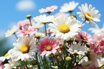 Fototapeta premium A field of colorful wildflowers under the bright sun, creating a vibrant and cheerful scene of natural beauty