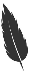 Fototapeta premium Black quill silhouette. Creative symbol. Bird feather