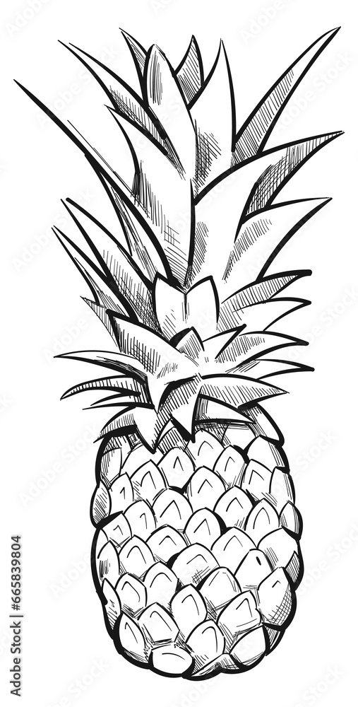 Sticker Pineapple sketch. Hand drawn tropical juicy fruit