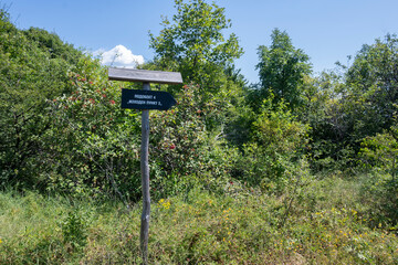 Summer Landscape of Rudina mountain, Bulgaria