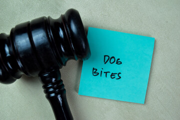 Concept of Dog Bites write on sticky notes with gavel isolated on Wooden Table.