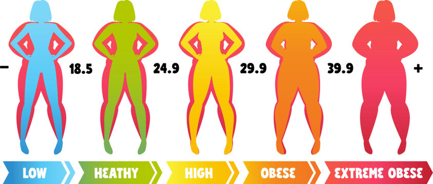 Body types based on BMI index. Stock vector illustration isolated on white background in cartoon style.
