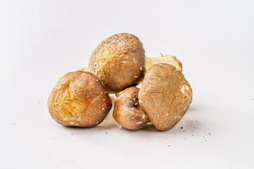 Fresh Agaricus blazei on white background