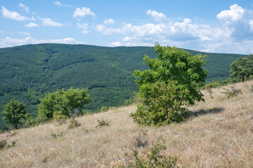 Summer Landscape of Rudina mountain, Bulgaria