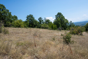 Obraz premium Summer Landscape of Rudina mountain, Bulgaria