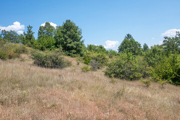 Obraz premium Summer Landscape of Rudina mountain, Bulgaria