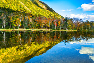 Fall foliage reflects in Willey House Dam pond, Crawford Notch State Park, New Hampshire.